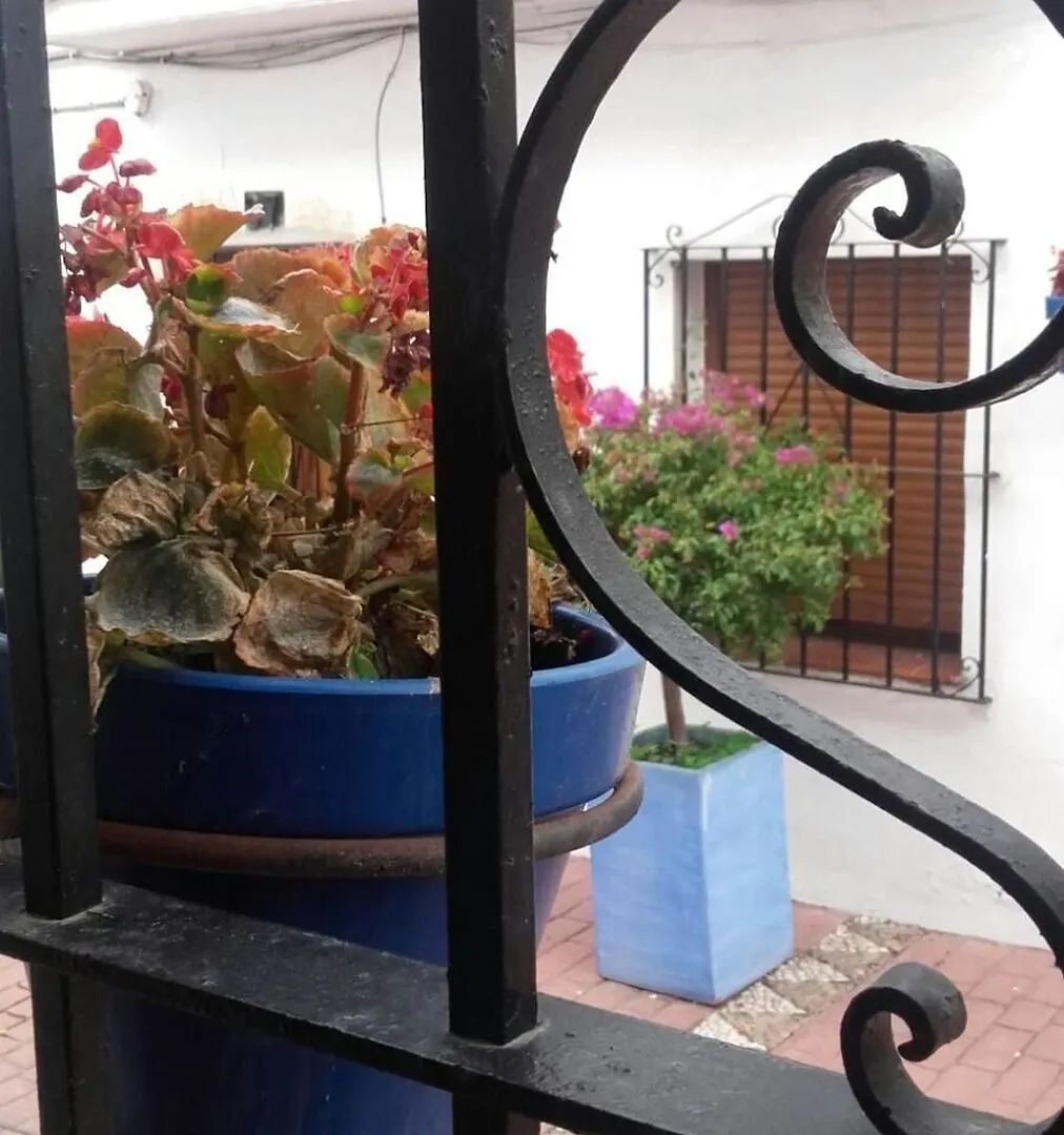 Apartment With One Bedroom In Estepona, With Wifi - 220 M From The Bea  Estepona